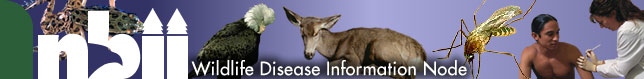 Wildlife Disease Information Node Banner