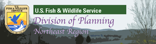 U.S. Fish and Wildlife Service Northeast Region 
Division of Conservation Planning and Policy