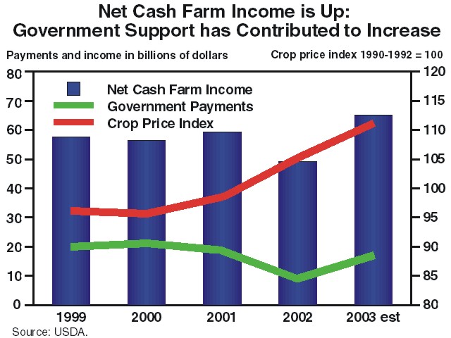 This is a chart showing government support has contributed to increases in net farm income over the period 1999–2003, with 2003 being an estimate. 