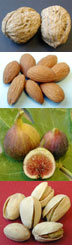 tree nuts, figs