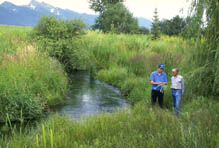 A restored wetland/riparian area with mountains in background.