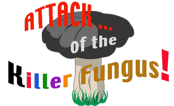 Title: Attack... of The Killer Fungus!