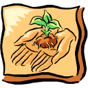 Cartoon: Pair of hands hold a tiny growing plant