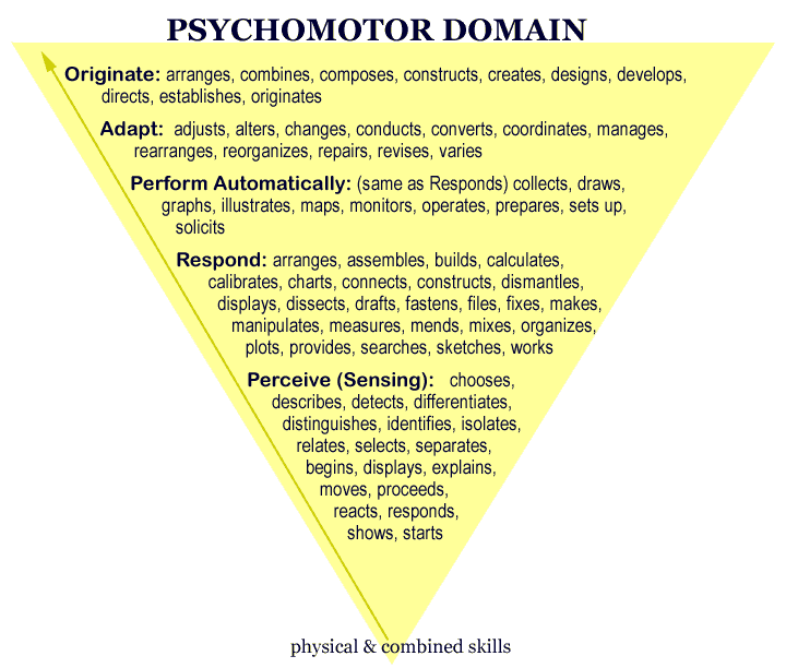 Yellow Triangle:  Originate, Adapt, Perform Automatically, Respond, Perceive
