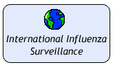 International Influenza Surveillance