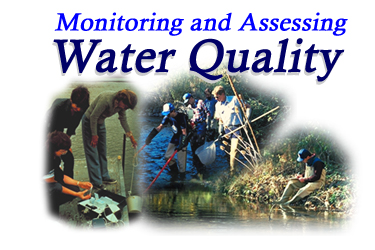 Monitoring and Assessing Water Quality