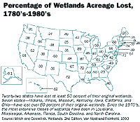 Percentage of Wetlands Acreage Lost