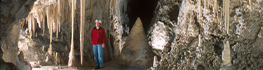 Lower Cave area of Carlsbad Cavern. (NPS Photo by Peter Jones)
