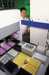 Technician sets conditions for automated robotic system for purifying DNA: Click here for full photo caption.