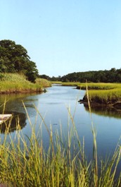 Tidal Creek to the Peconic Esturay on Long Island's North Fork