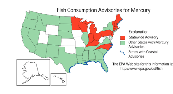 Map showing statewide mercury advisories for Minnesota, Wisconsin, Michigan, Indiana, Ohio, Kentucky, Pennsylvania, New Jersey, North Carolina, Connecticut, Vermont, Rhode Island, Maine, New Hampshire, and Massachusetts.  States without mercury advisories include Utah, Wyoming, Kansas, Oklahoma, Iowa, Missouri, West Virginia, District of Columbia, Maryland, Alaska, and Hawaii. Coastal Advisories are indicated from the gulf coast of Texas to North Carolina and along the coast of Maine. The EPA website for this information is http://www.epa.gov/ost/fish/ .