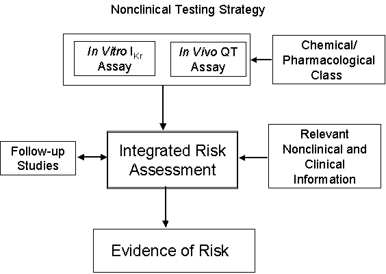 Nonclinical Testing Strategy flow chart