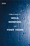 a brief guide to mold