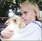 Megan Ineson, 8, who suffers from cyclic vomiting syndrome and her pet rabbit Speckles. (Staff photo by Sue Sickler)