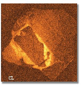 cathodoluminescence image of the 4.40Ga zircon