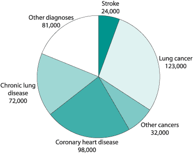 Pie chart: 430,000 U.S. Deaths Attributable Each