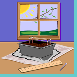 Grapohic-illustration showing a roasting pan filled with dirt, on top of newspapers.
