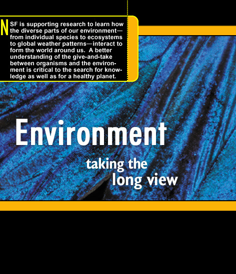Environment - Taking the Long View