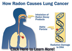 how radon causes lung cancer