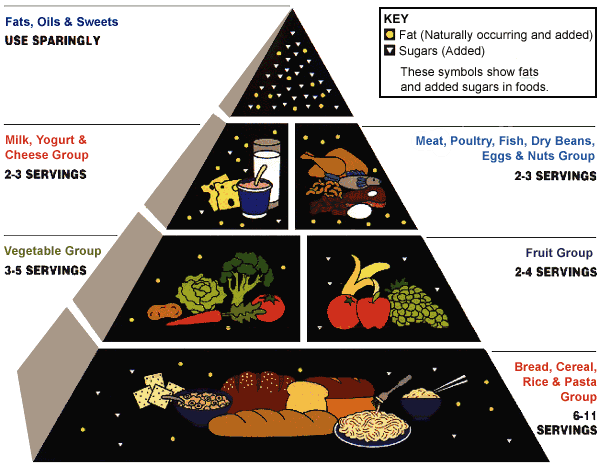 (Food Pyramid Diagram)