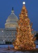 The picture is of the Capitol Holiday Tree from 2002.  The tree was a 70 foot Douglas Fir from the Umpqua National Forest in Oregon.