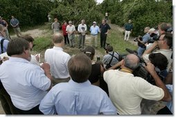 After touring the hurricane damage to Marty and Pat McKenna's orange groves, President George W. Bush addresses the media at the their farm in Lake Wales, Fla., Sept. 29, 2004.  White House photo by Eric Draper.