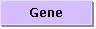 gene symbol