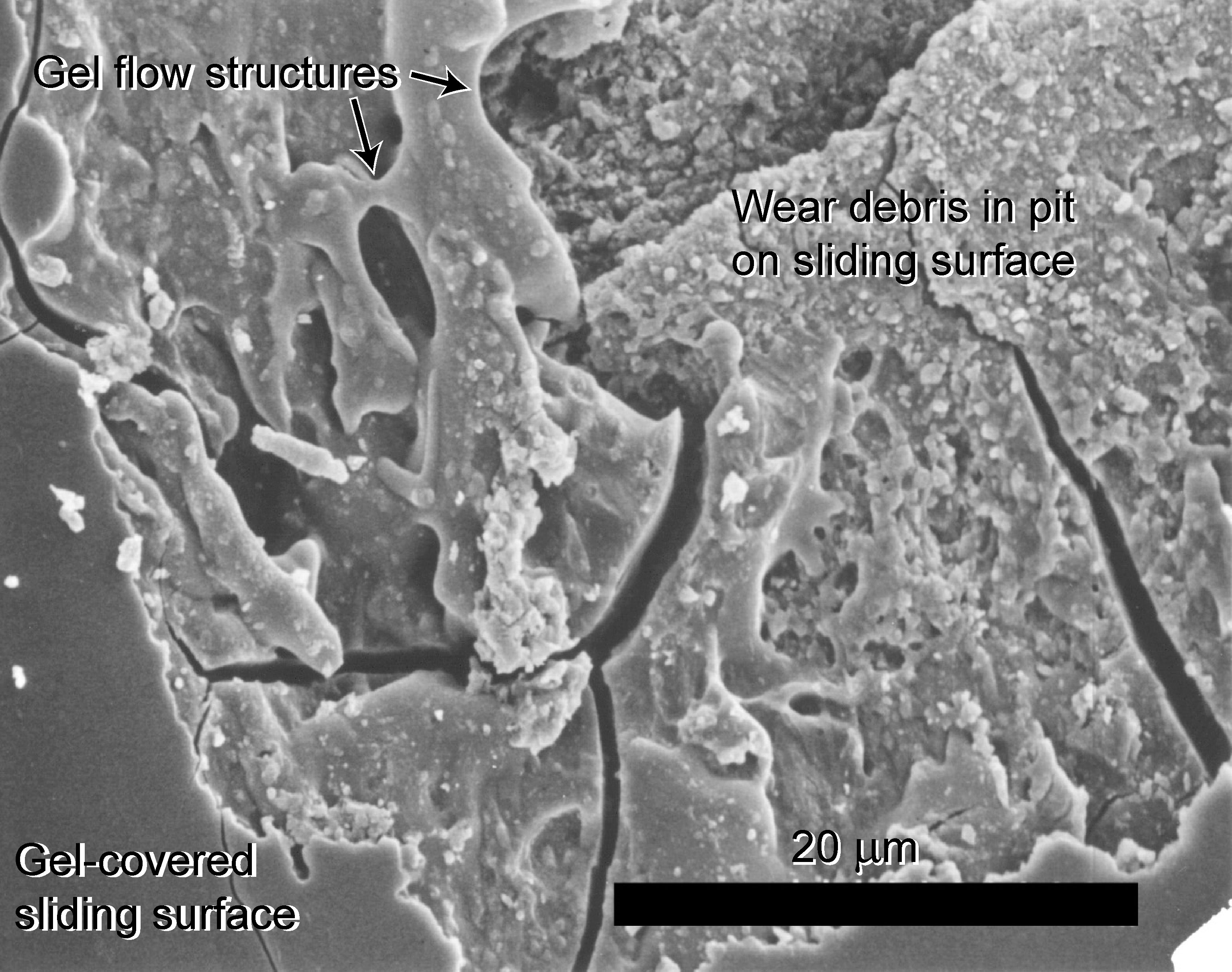 scanning electron microscope image of novaculite