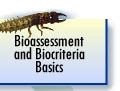 Bioassessment and Biocriteria Basics