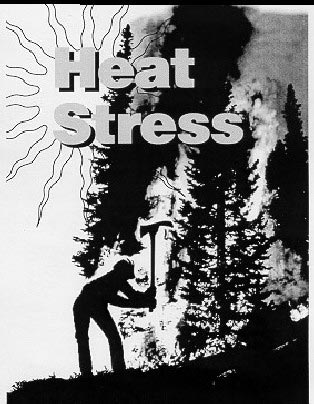 Drawing of the cover of the "Heat Stress" brochure