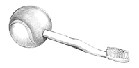 Illustration of a tennis ball on a toothbrush handle