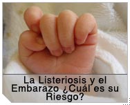 La Listeriosis y el Embarazo Cul es su Riesgo?