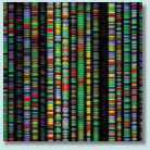 Photo of DNA sequencing process