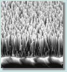 SEM image showing ZnO nanotips.