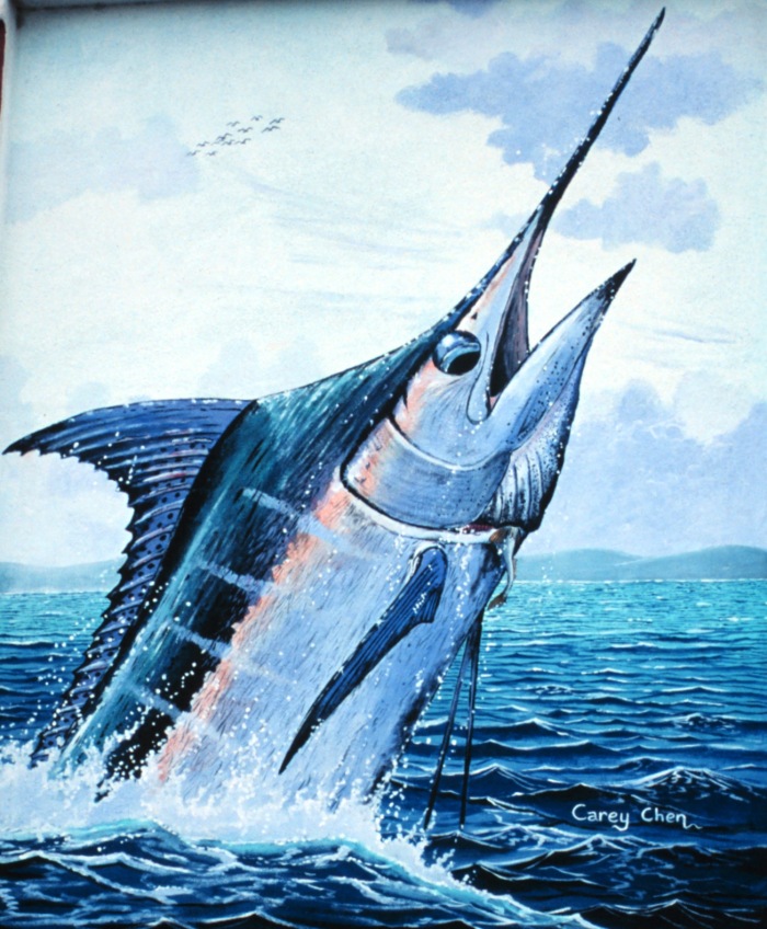 Fisheries Image - fish1331