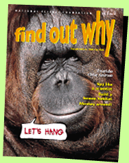 Graphic- Cover of Find Out Why Volume 3, No. 1