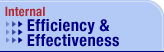 Internal Effectiveness & Efficiency