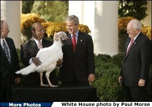 President George W. Bush and Vice President Dick Cheney participate in the annual pardoning of the National Turkey in the Rose Garden Nov. 17, 2004. "We are a nation founded by men and women who deeply felt their dependence on God and always gave Him thanks and praise. As we prepare for Thanksgiving in 2004, we have much to be thankful for: our families, our friends, our beautiful country, and the freedom granted to each one of us by the Almighty," said the President in his remarks. White House photo by Paul Morse.