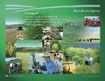 [Thumbnail image of the FSA Vision Statement Poster]