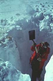 digging a snow pit for samples