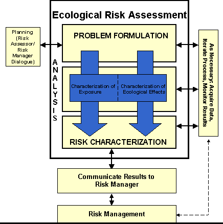flow chart with components: problem formulation,exposure,effects,risk characterization,data,risk management,discussion with risk managers