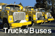 Trucks and Buses