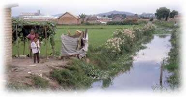 Latrine next to polluted drainage canal in Antananarivo, Madagascar.