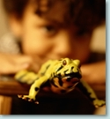 Photo of child and frog.
