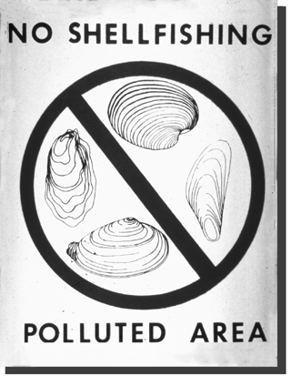 photo of No shellfishing - Polluted area sign
