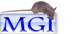 Mouse Genome Database, Gene Expression Database, Mouse Tumor Biology, Mouse Genome Sequence Project, Gene Ontology