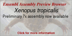 NEW! Pre Xenopus assembly data.  Click on this image for more details.