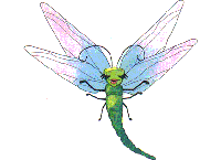 Desi the Dragonfly