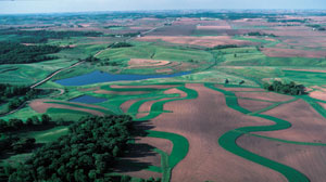 crop lands aerial shot