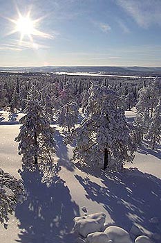 Finnish countryside in winter